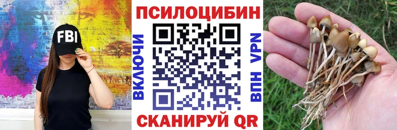 Галлюциногенные грибы прущие грибы  Усть-Илимск 